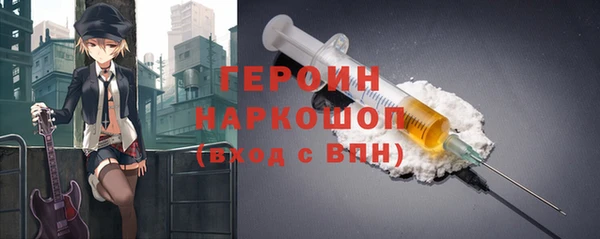 индика Великий Новгород