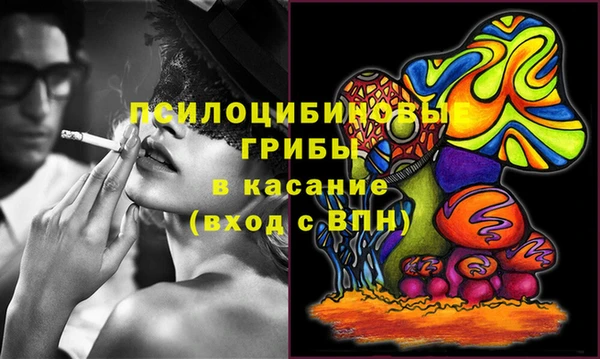 каннабис Каменногорск