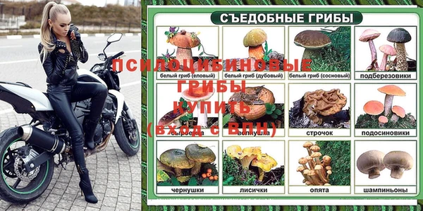 каннабис Каменногорск