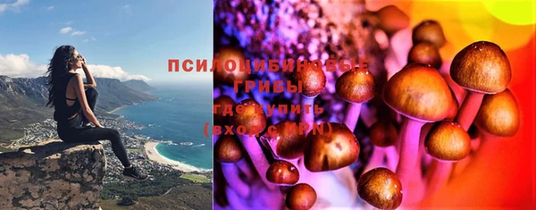 каннабис Каменногорск