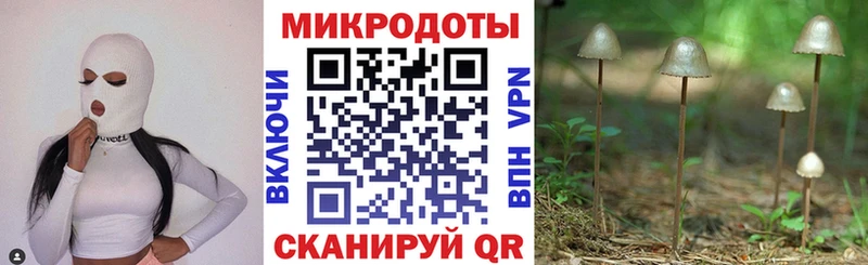 Псилоцибиновые грибы GOLDEN TEACHER  Купить где  Луга 